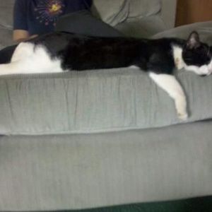 Meet your Posher, Megan